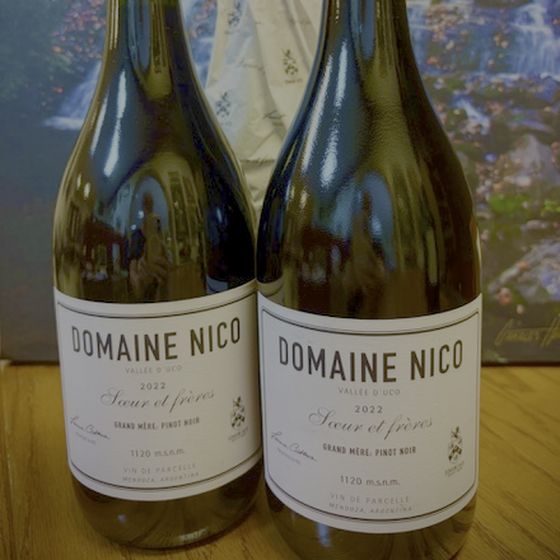 Two bottles of 2022 Domaine Nico Grand M&egrave;re Pinot Noir from the Valle de Uco, white labels, in front of a waterfall print
